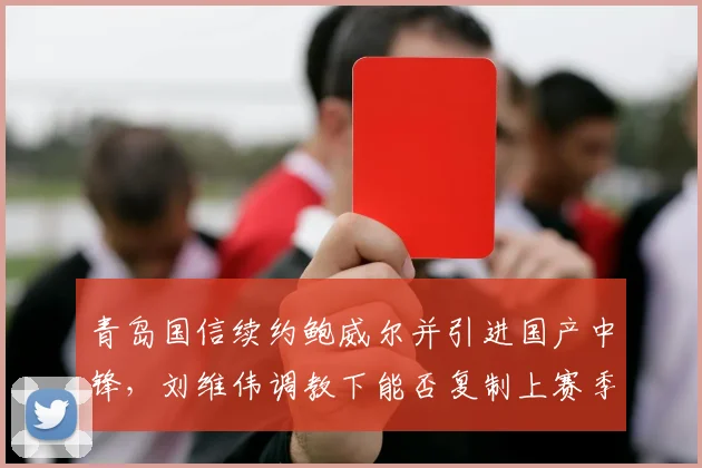 青岛国信续约鲍威尔并引进国产中锋，刘维伟调教下能否复制上赛季黑马奇迹？